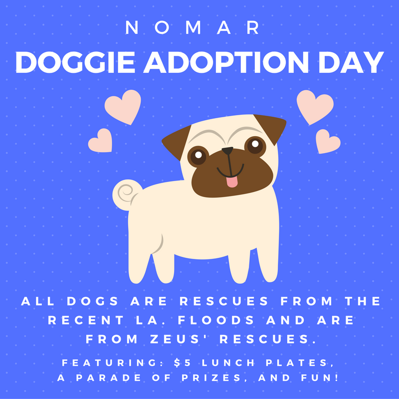 doggie adoption day